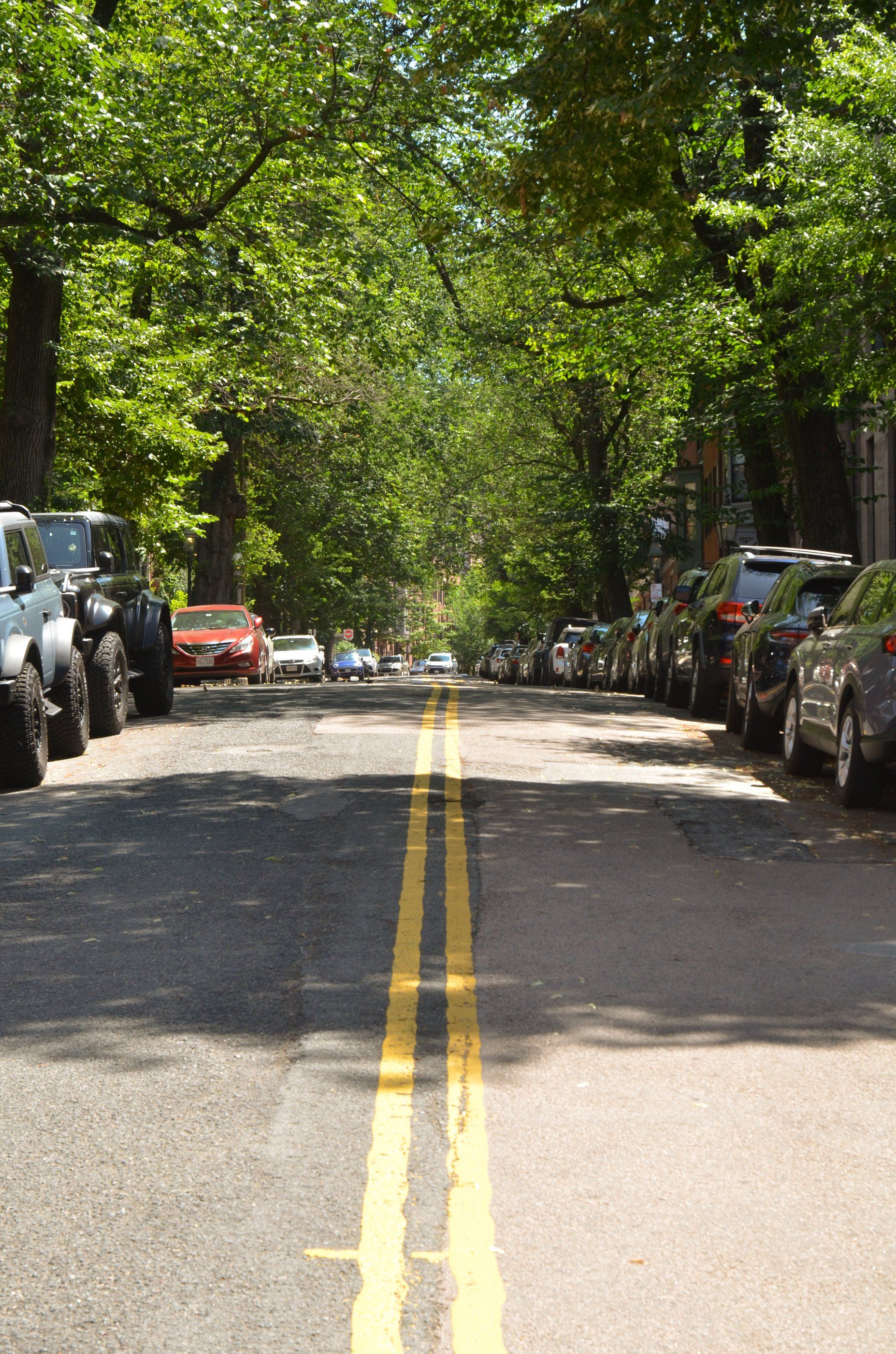 Boston photograph, 1 of 8
