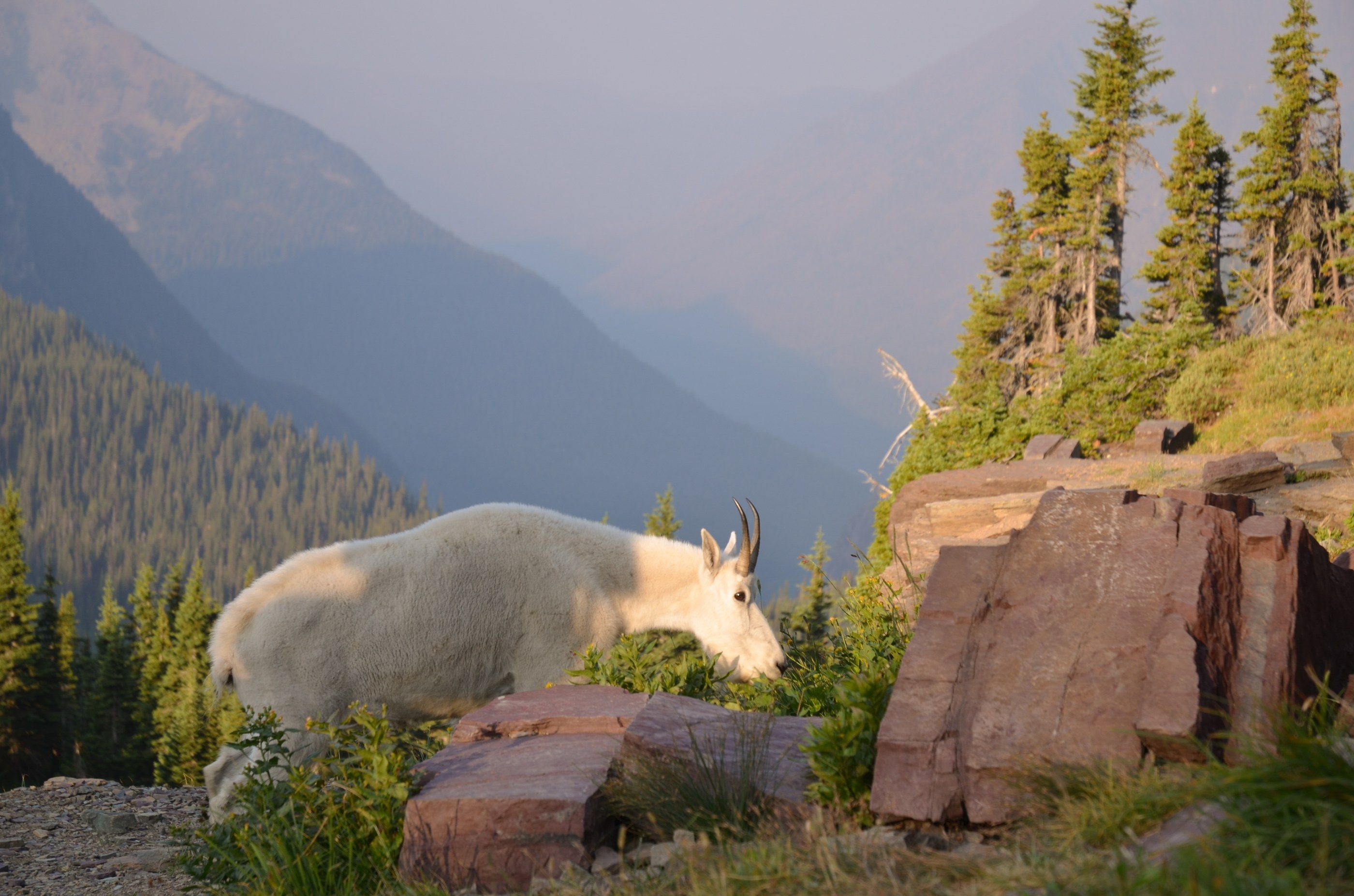 Glacier photograph, 11 of 27