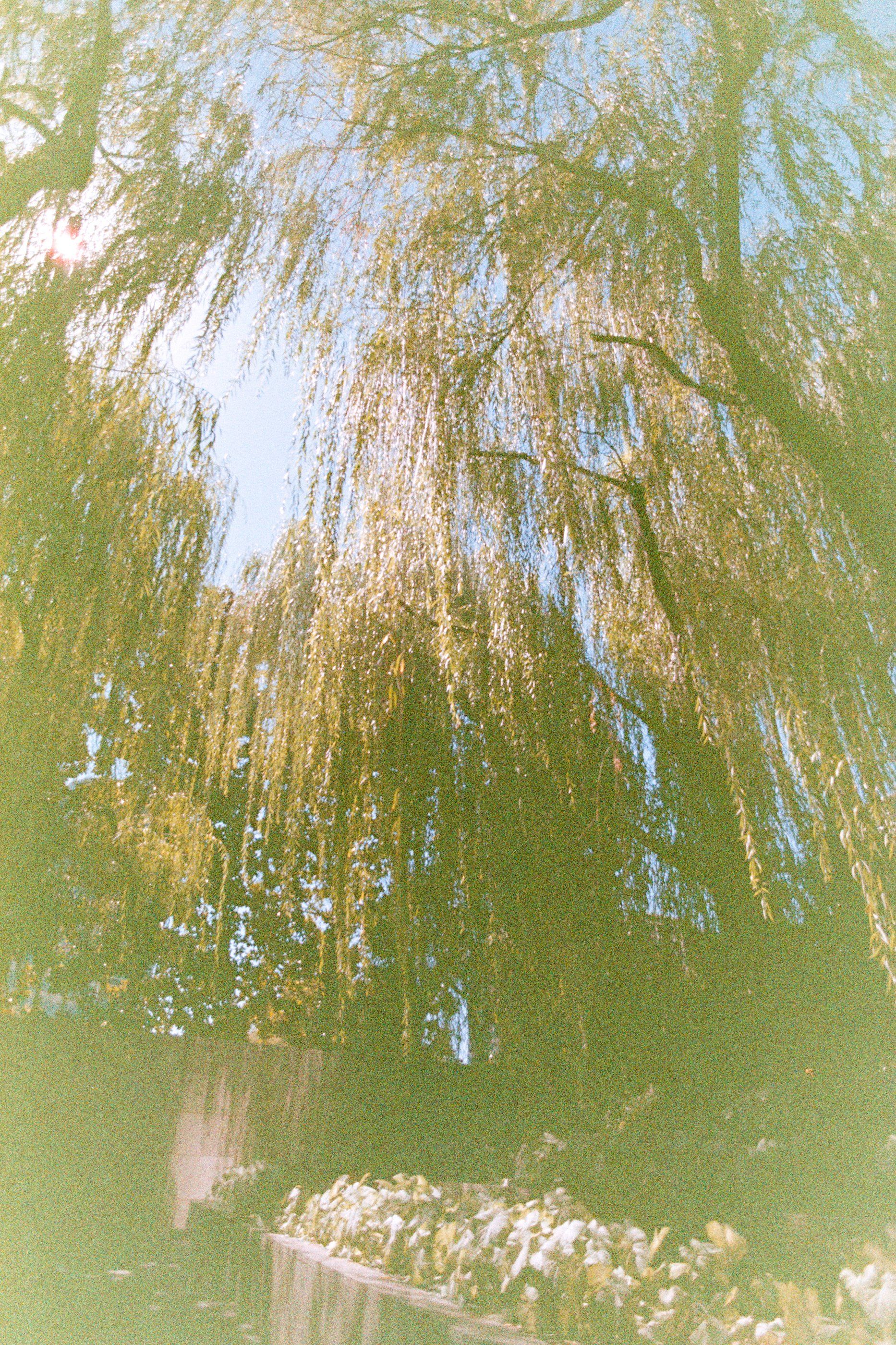 Archive photograph, 9 of 13