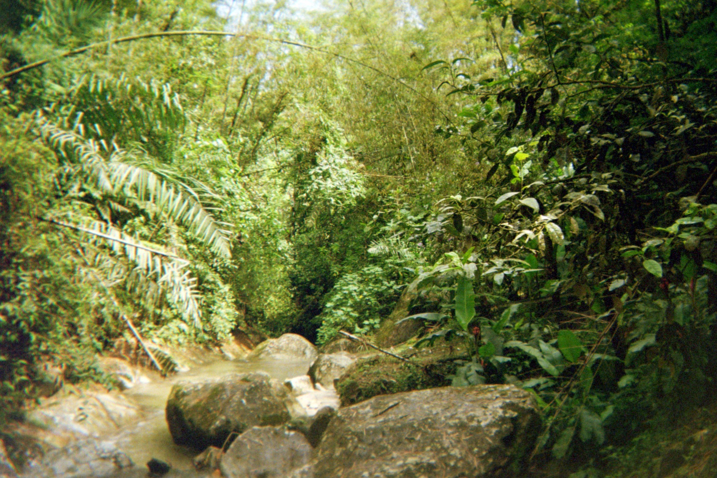 Archive photograph, 11 of 13