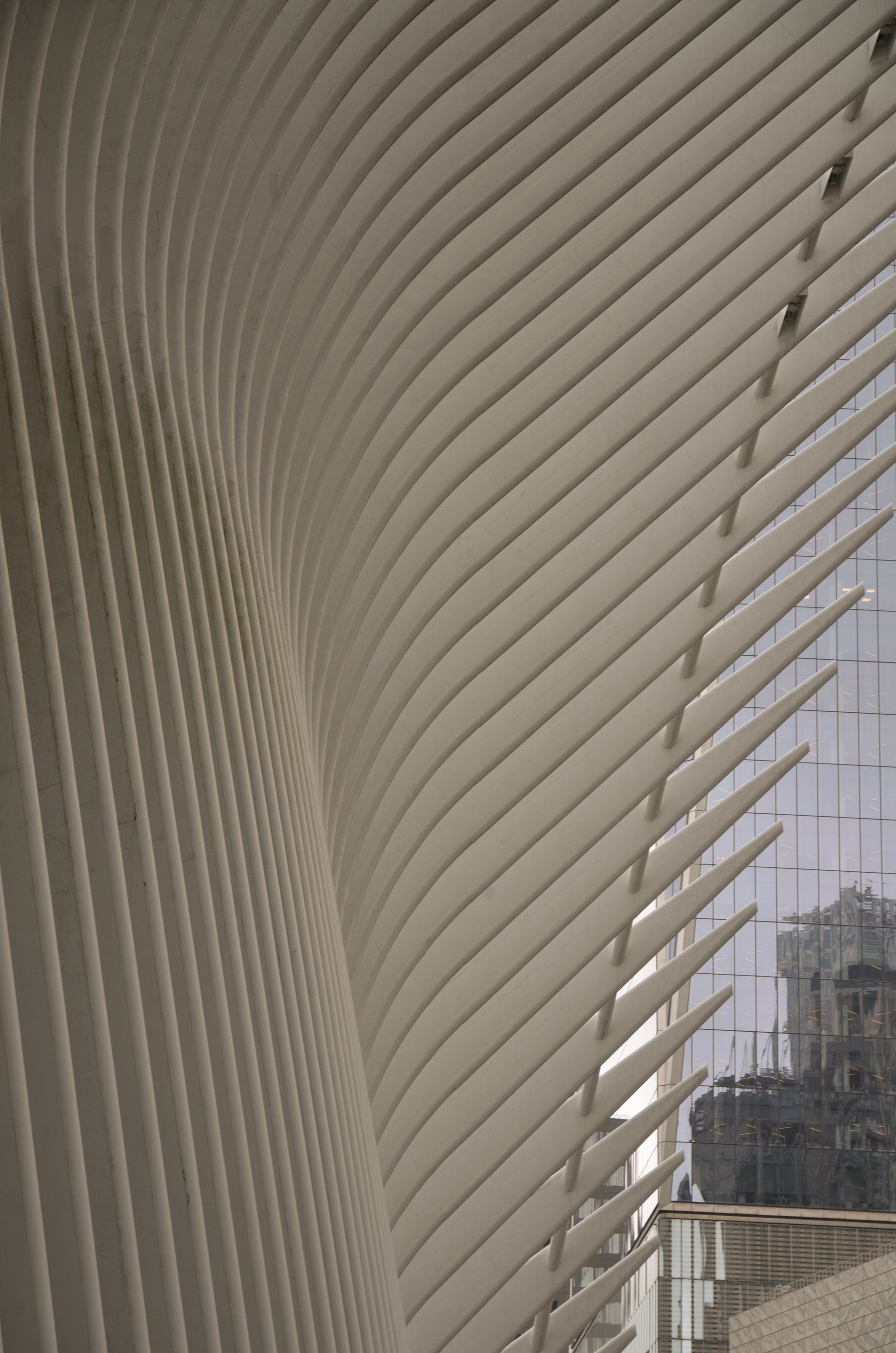 New York City photograph, 14 of 27