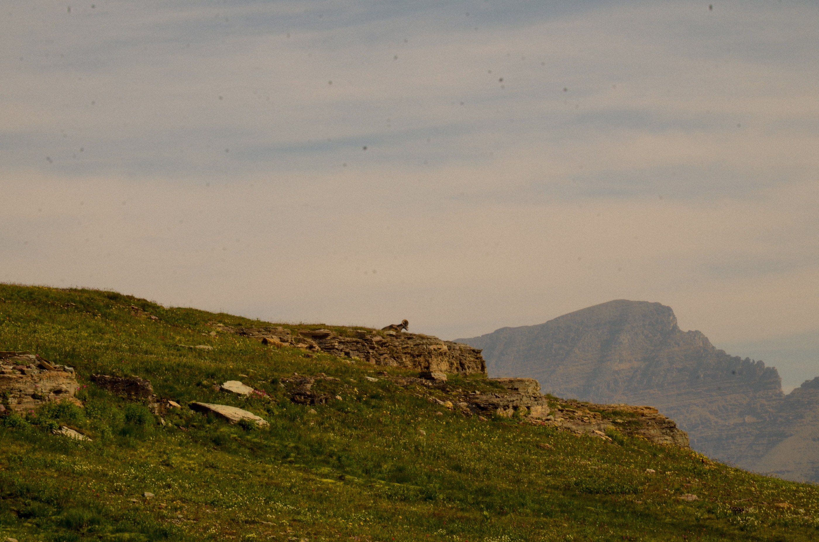 Glacier photograph, 13 of 27