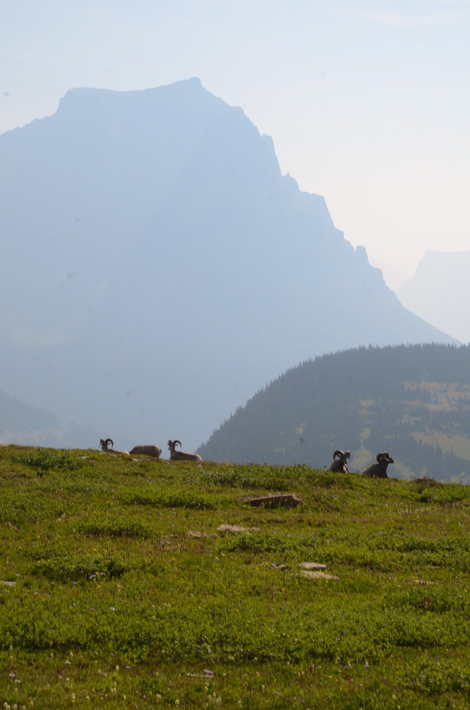 Glacier photograph, 10 of 27